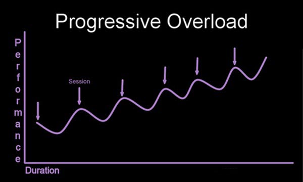 progressive overload mma 2